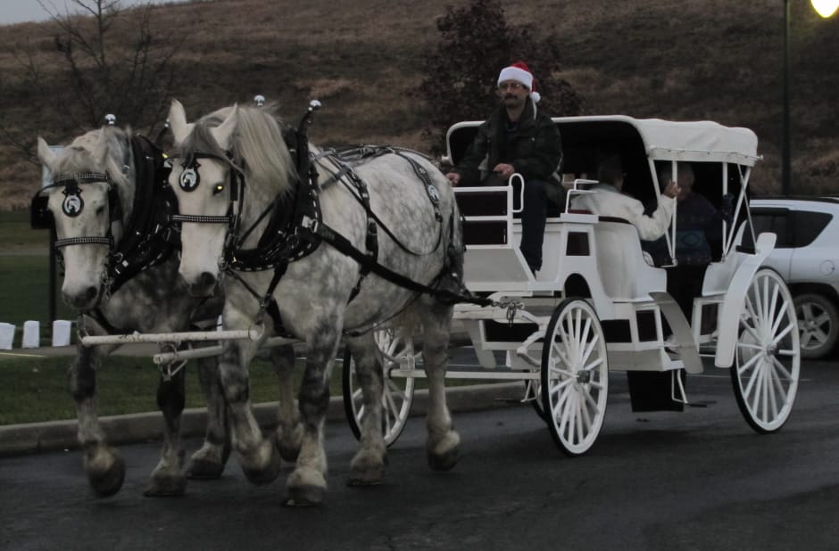 Laurelbrooke Personal Care Light the Night Carriage Rides